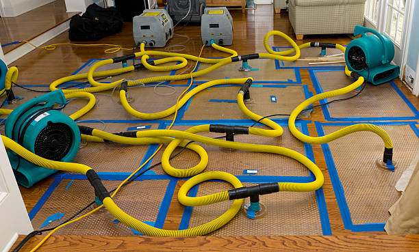 Professional Basement Flood Cleanup technician working in Atkinson, NE